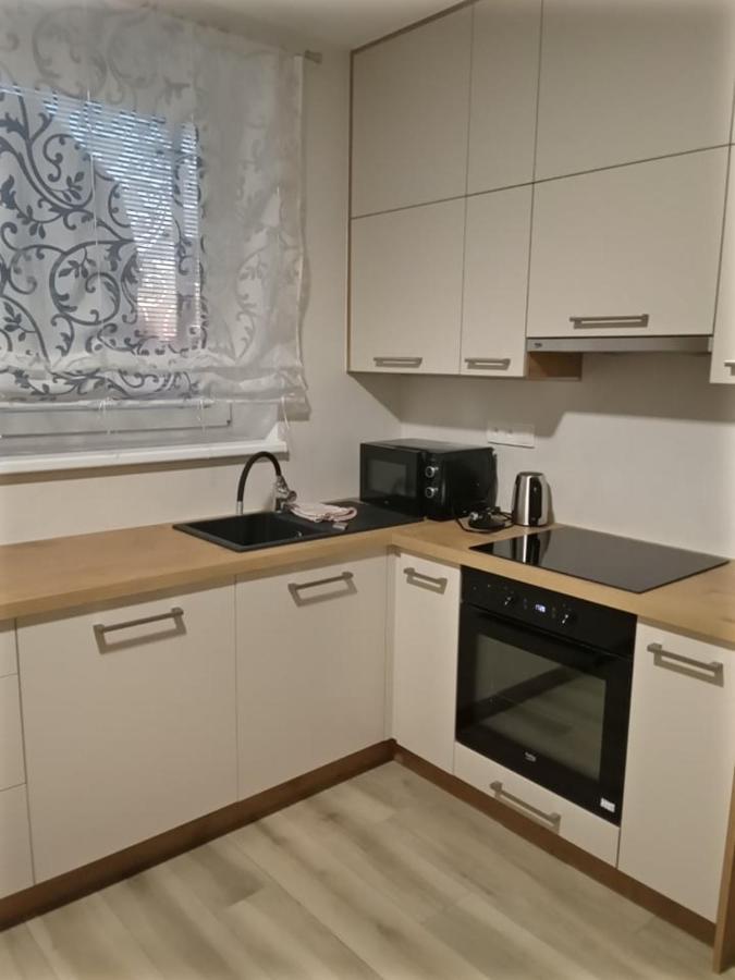 V Centru Daire Lanžhot Dış mekan fotoğraf